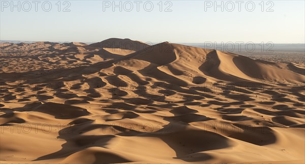 Sand dunes in the desert