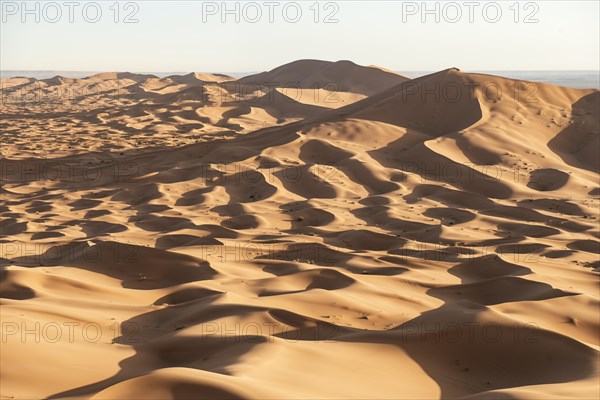 Sand dunes in the desert