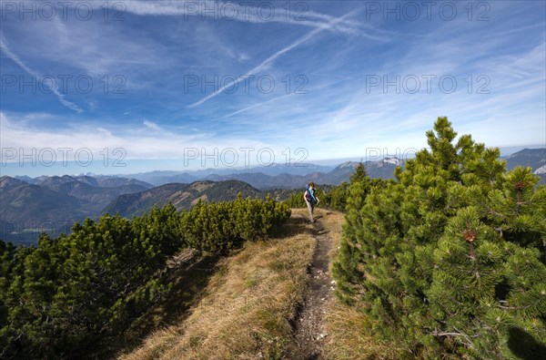 Hiker crossing the Blauberge mountains