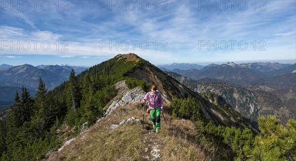 Hiker crossing the Blauberge mountains