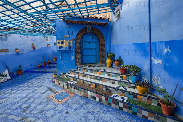 Colorfully tiled staircase with flower pots