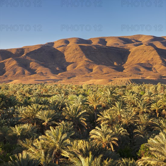 Draa Valley