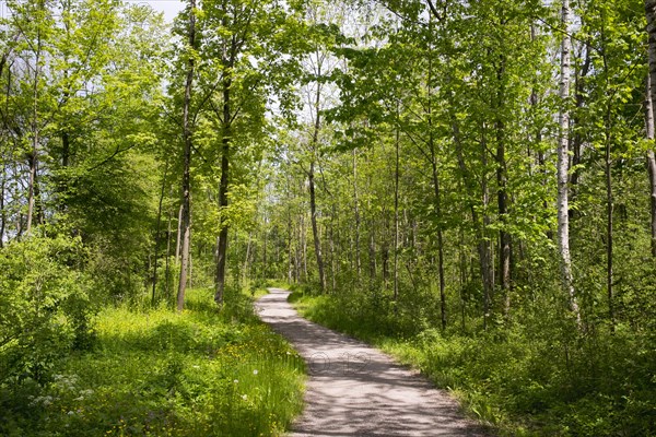 Hiking and bike trail