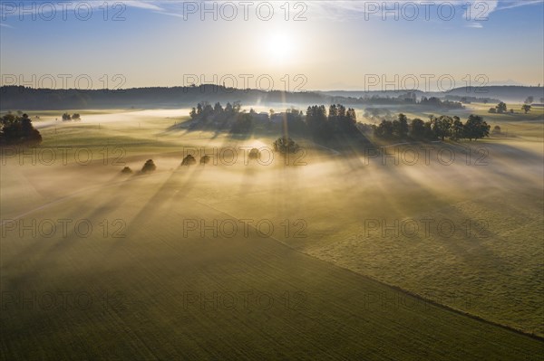 Ground fog at sunrise