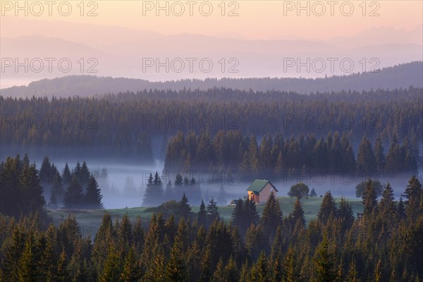 Small house on alp in the forest with morning fog