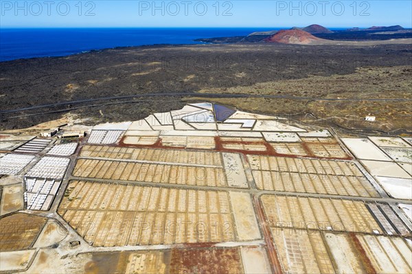 Salt extraction plant