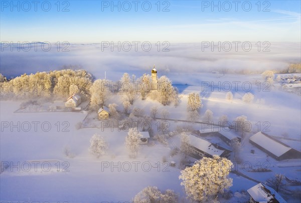 Winter landscape