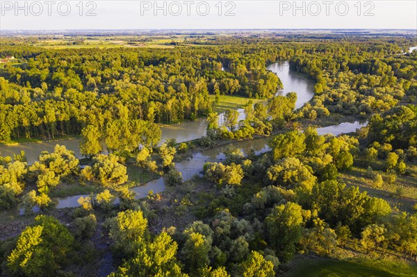 Isar shortly in front of the estuary