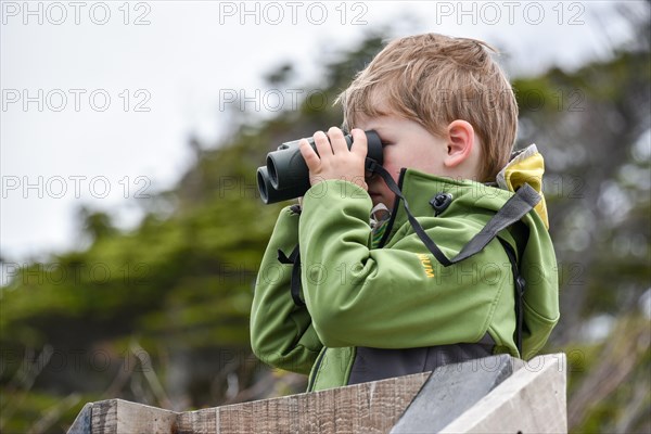 Interested boy looking through binoculars