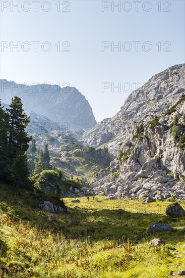 Two hikers in the distance