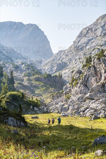 Three hikers in the distance