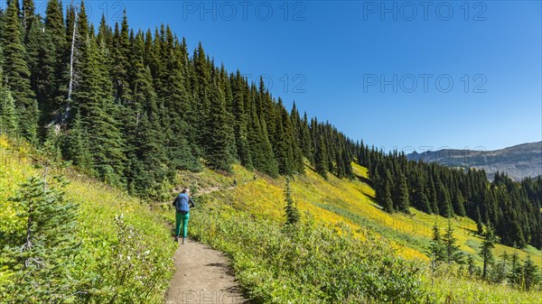 Hiker on hiking trail Panorama Ridge