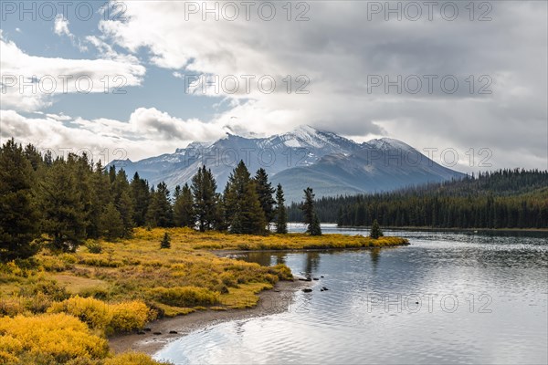 Lake shore of Maligne Lake