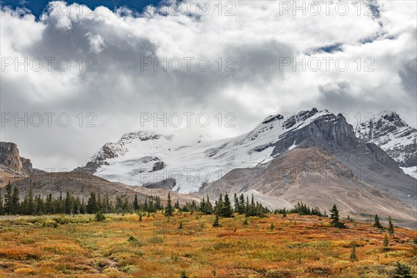 Barren landscape