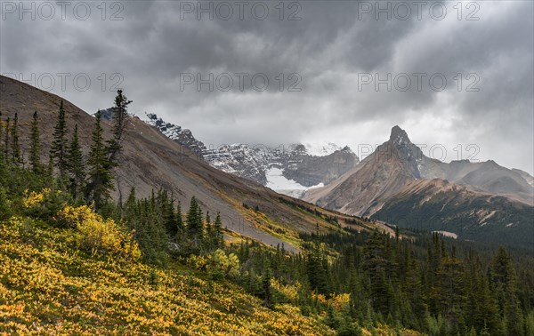 View to Mount Athabasca and Hilda Peak in autumn