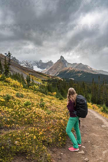 View to Mount Athabasca and Hilda Peak in autumn