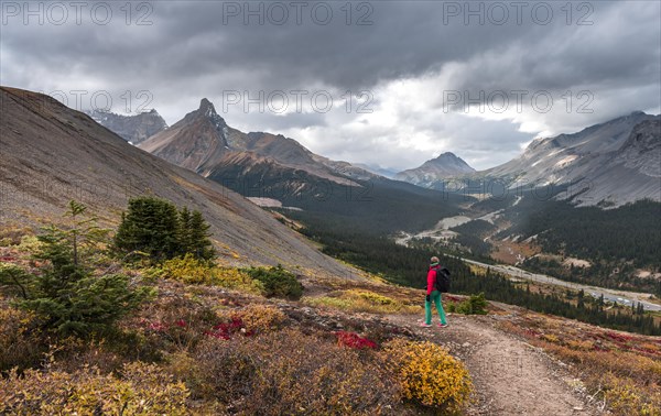 View to Mount Athabasca and Hilda Peak in autumn