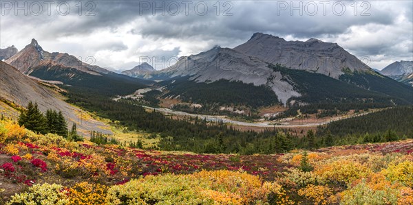 View to Mount Athabasca and Hilda Peak in autumn