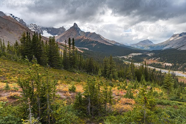 View to Mount Athabasca and Hilda Peak in autumn