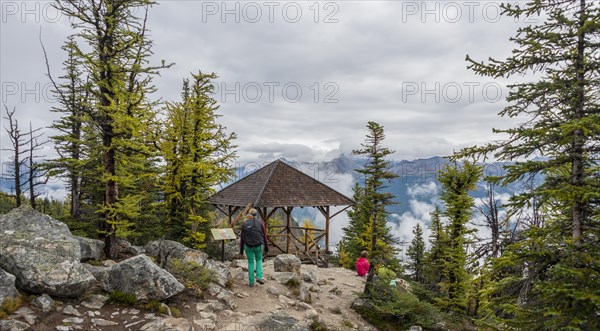 Hiker at the summit of The Beehive