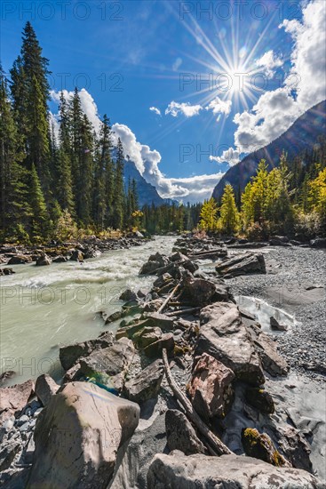 Wild River in Yoho Valley