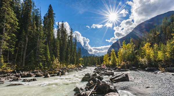 Wild River in Yoho Valley