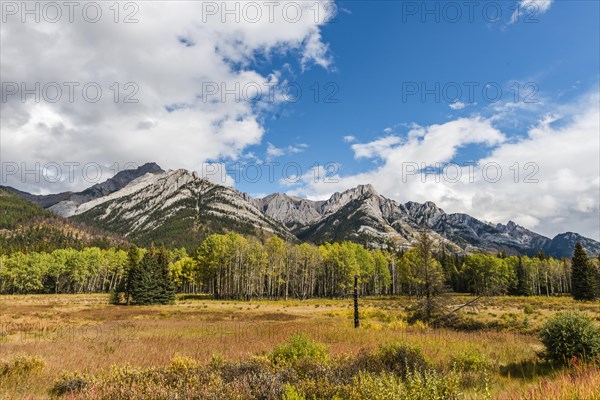 Fall Mountain Landscape