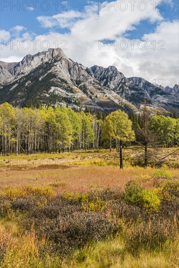 Fall Mountain Landscape