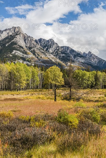 Fall Mountain Landscape