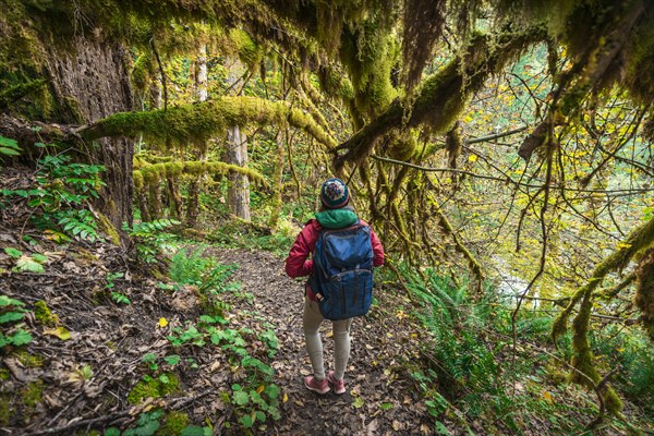 Hiker on hiking trail in rainforest