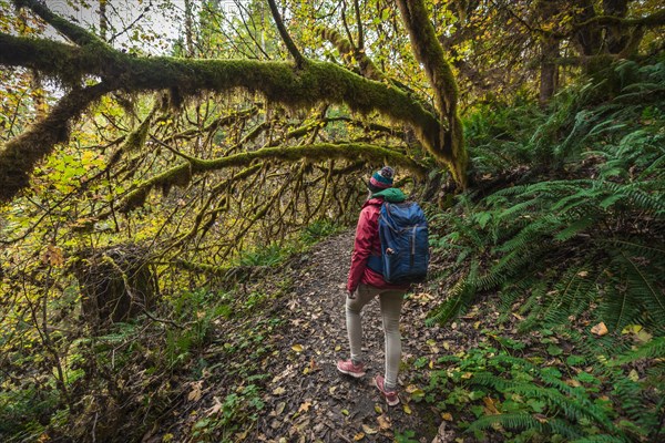 Hiker on hiking trail in rainforest