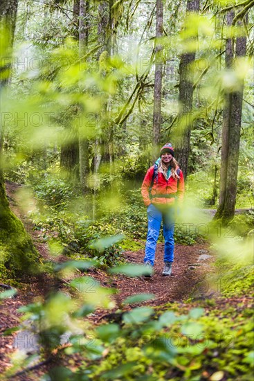 Hiker on hiking trail in rainforest