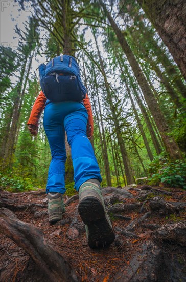 Hiker on a forest path