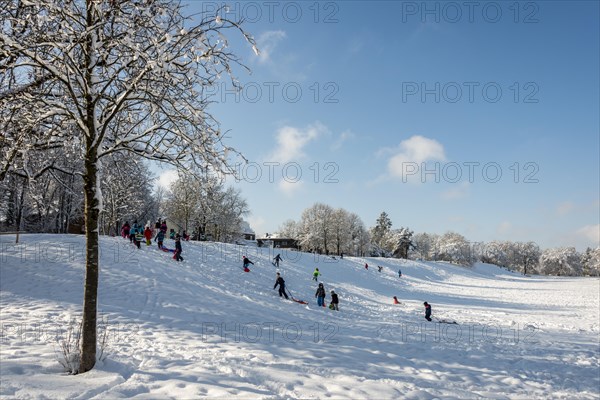 Children tobogganing at sled mountain