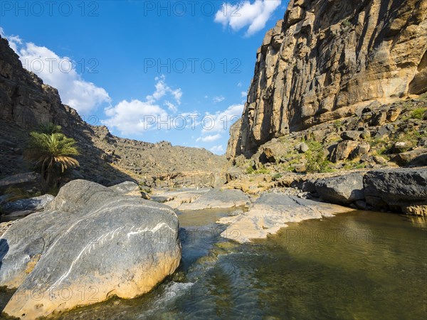 Wadi Dam