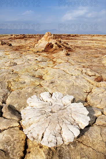 Geothermal area Dallol with sulphur deposits