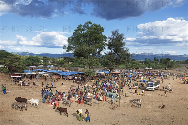 Locals at the market