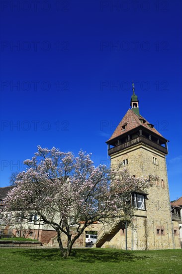 Julius Kuhn Institute for Vine Breeding at Geilweilerhof