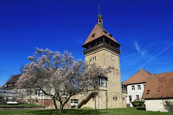 Julius Kuhn Institute for Vine Breeding at Geilweilerhof