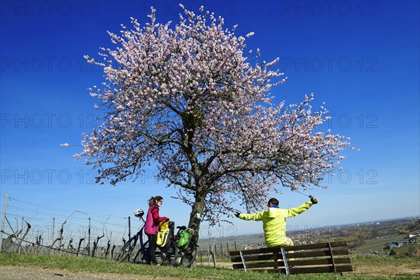 Cyclists take a break on the Palatinate Almond Trail near Leinsweiler