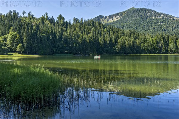 Spitzingsee with rowboat