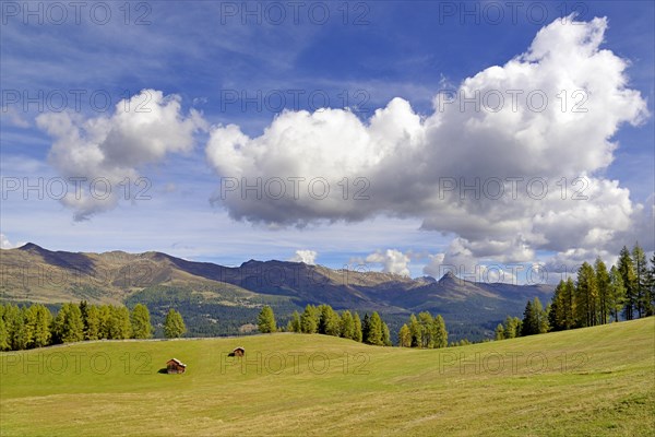 View over the Rotwandwiesen with mountain huts and Larches forest (Larix)