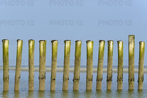 Groynes