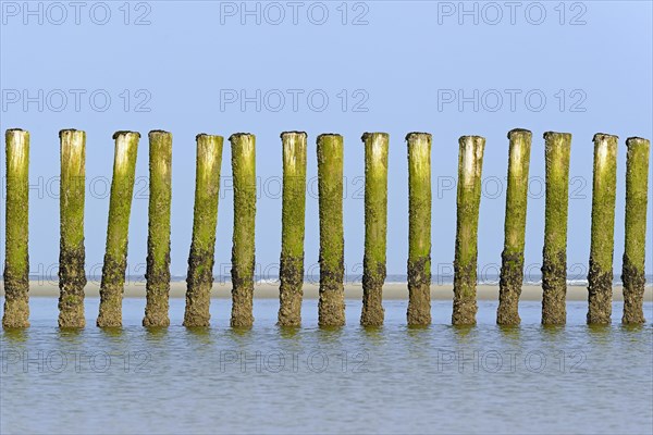 Groynes