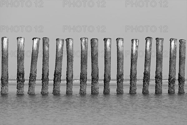 Groynes