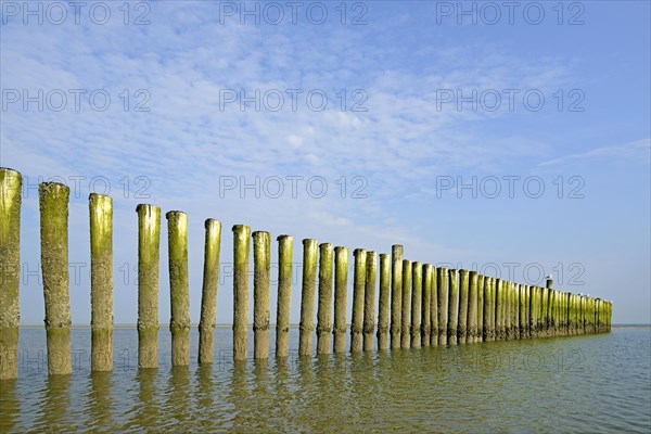 Groynes