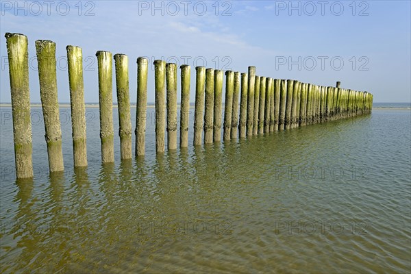 Groynes