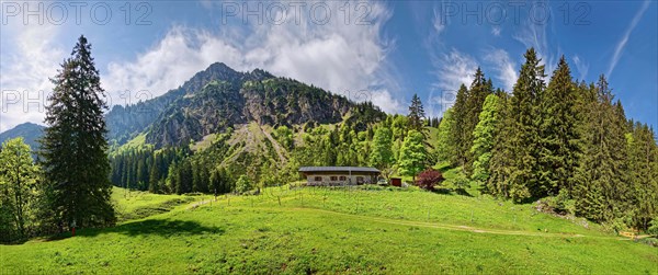 Alpine pasture with alpine chalet near Hochgern mountain range