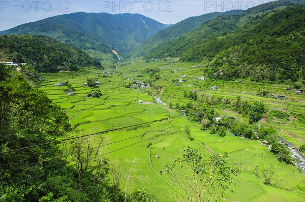 Hapao rice terraces