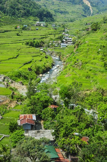 Hapao rice terraces